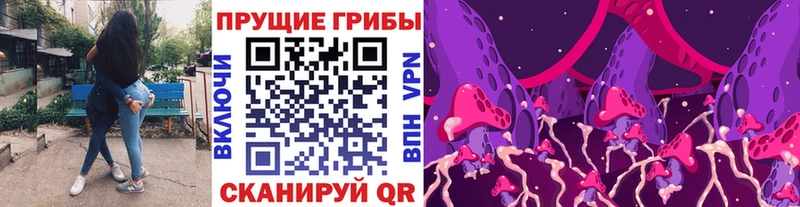 Галлюциногенные грибы Psilocybe  наркота  Приморско-Ахтарск 