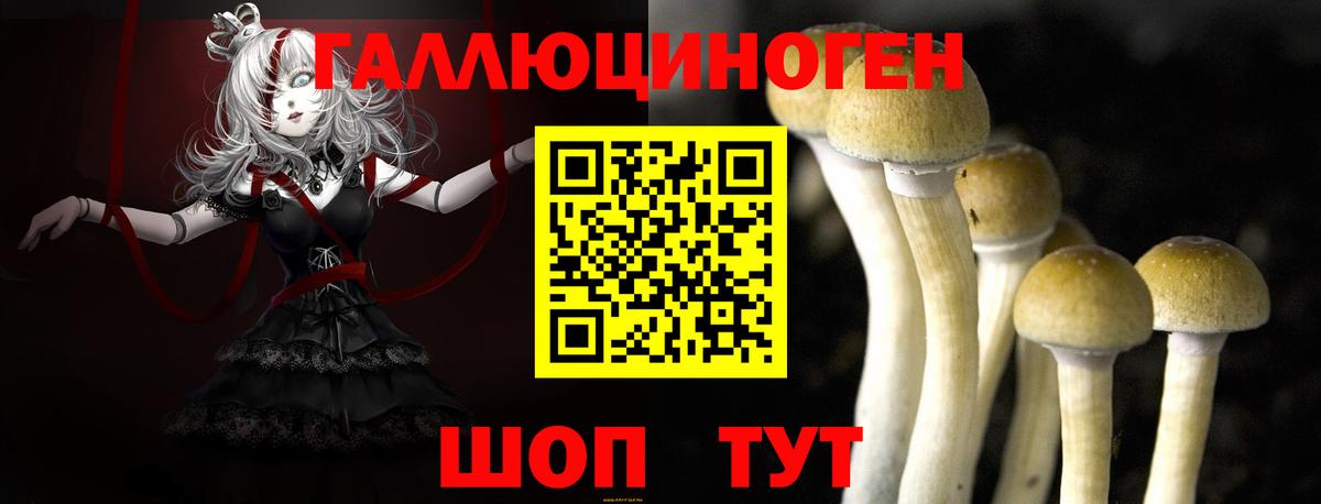 Псилоцибиновые грибы Magic Shrooms Приморско-Ахтарск